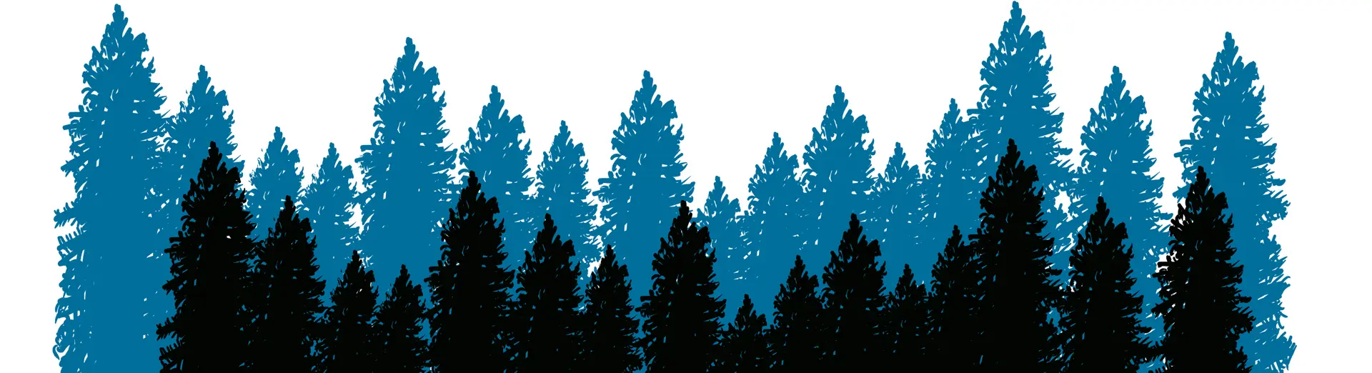 Abeduriu Trail Nocturna