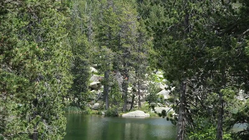 Paisaje de Cataluña