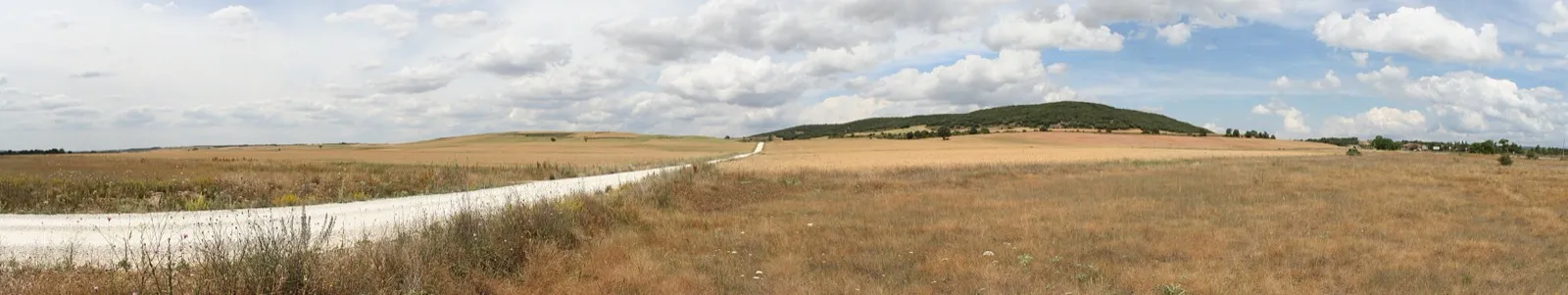 Cross Internacional de Atapuerca