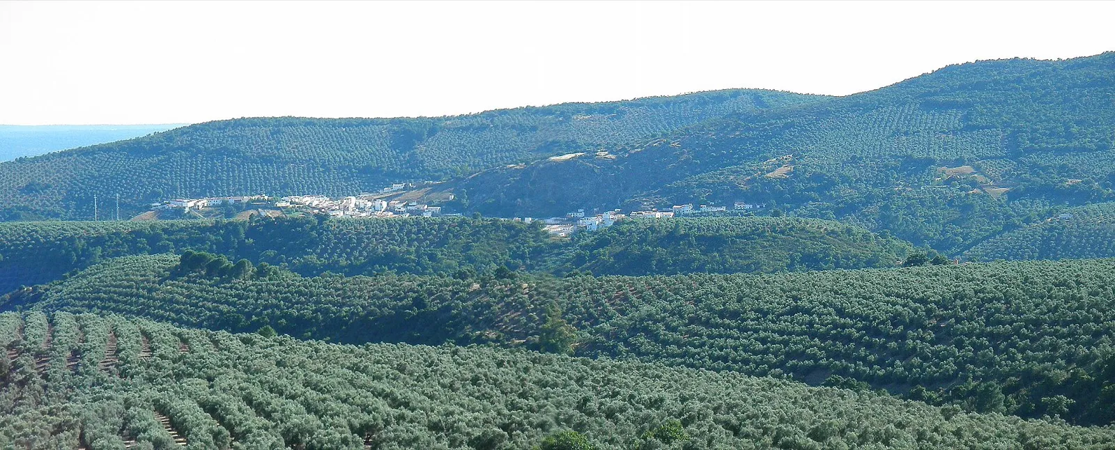 Desafío Cucón - Montes de Fuencaliente