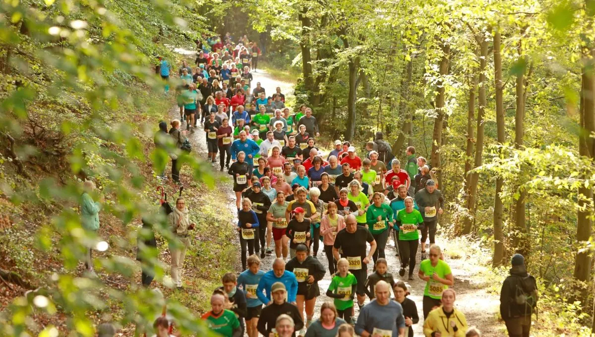 Harz-Gebirgslauf (Brocken-Marathon)