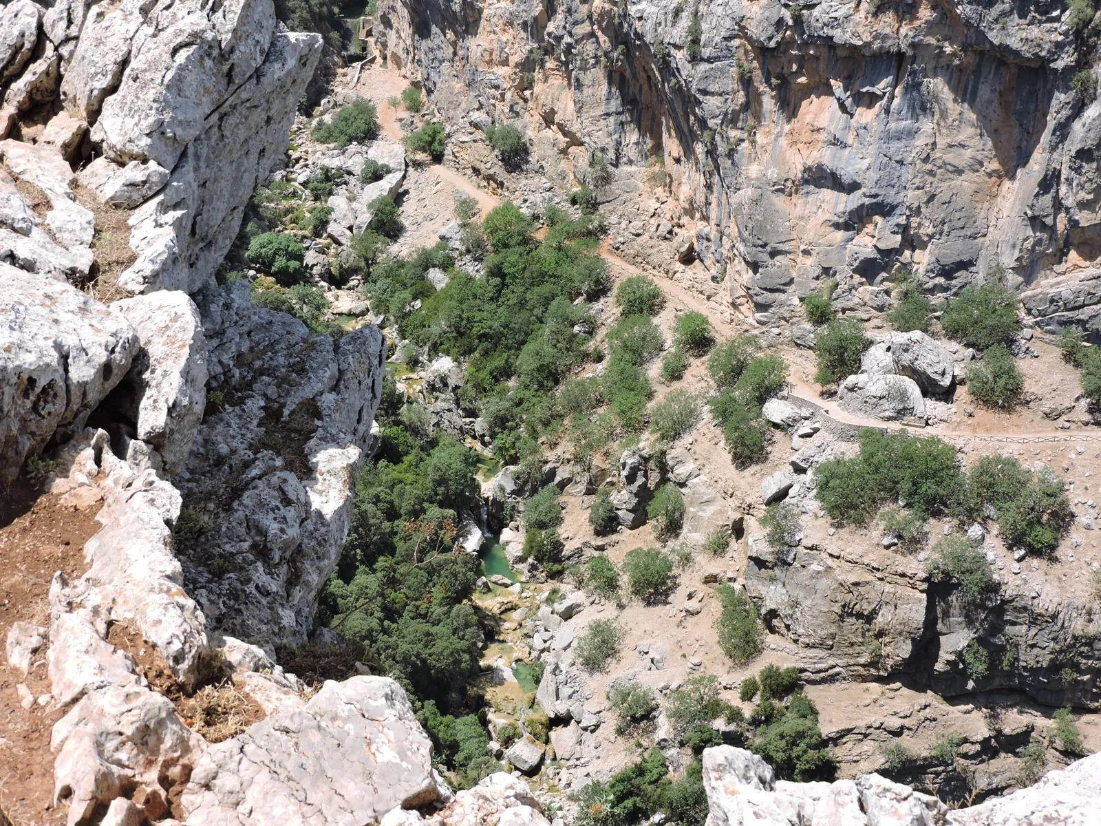 Sierra Cazorla Trails