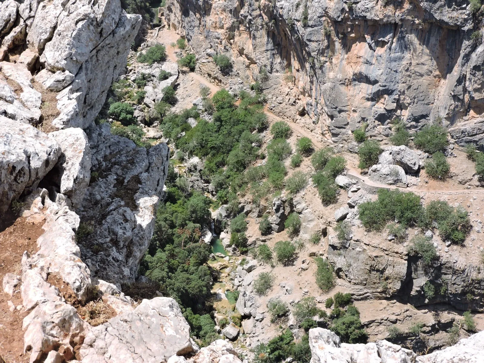 Sierra Cazorla Trails