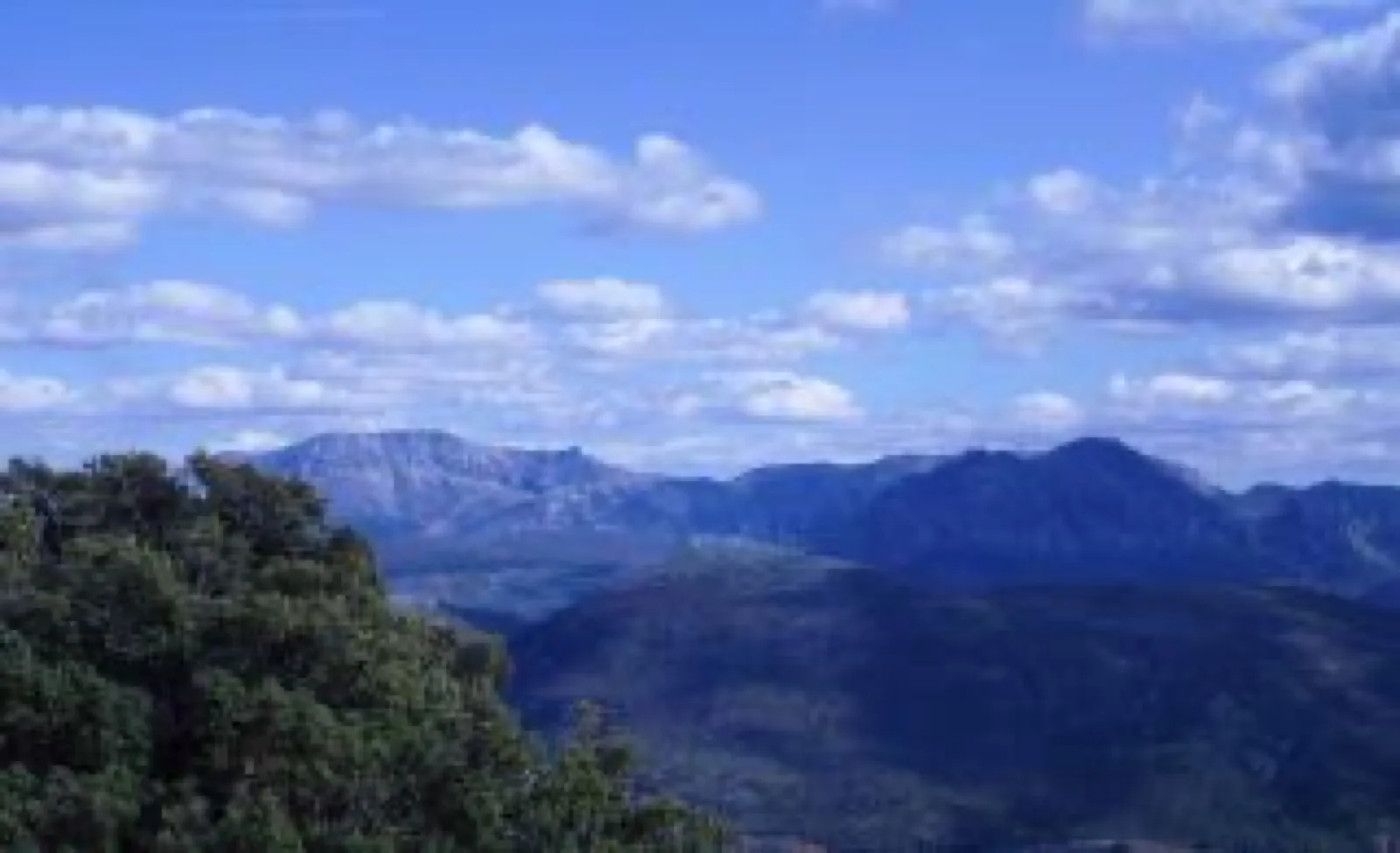 Tiñosa Trail