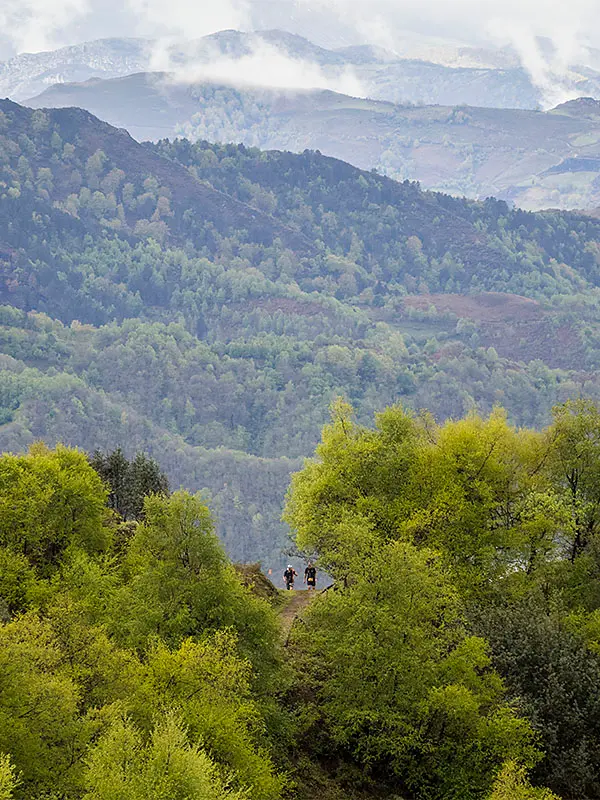 Trail Valle de Samuño