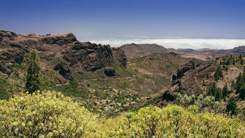 Transgrancanaria