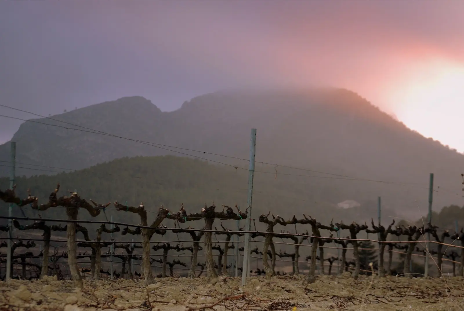 Ultra Penedès