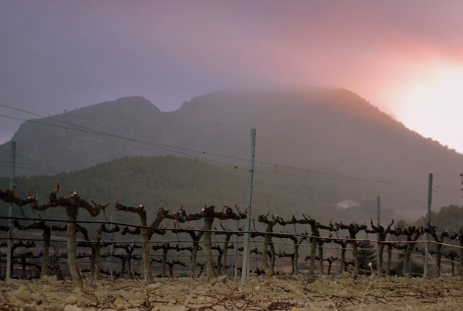 Ultra Penedès