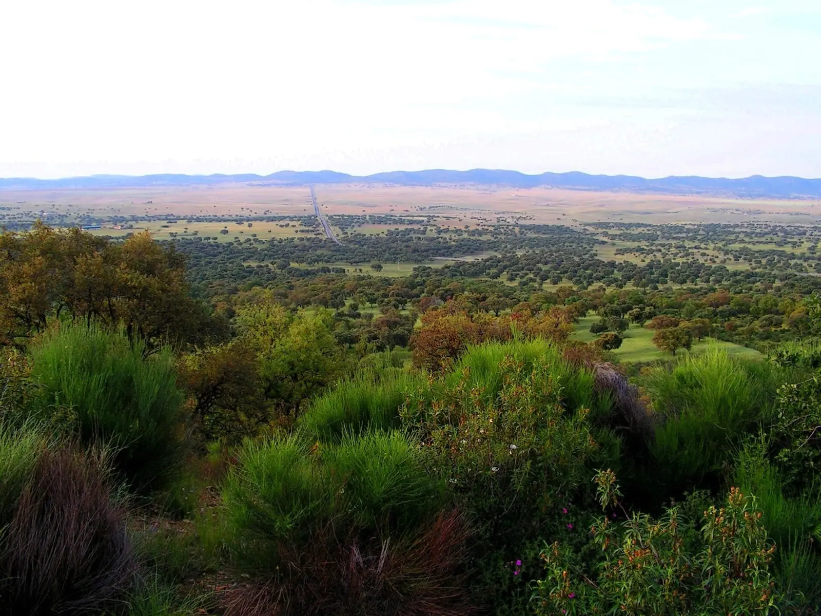 Zenagas Trail