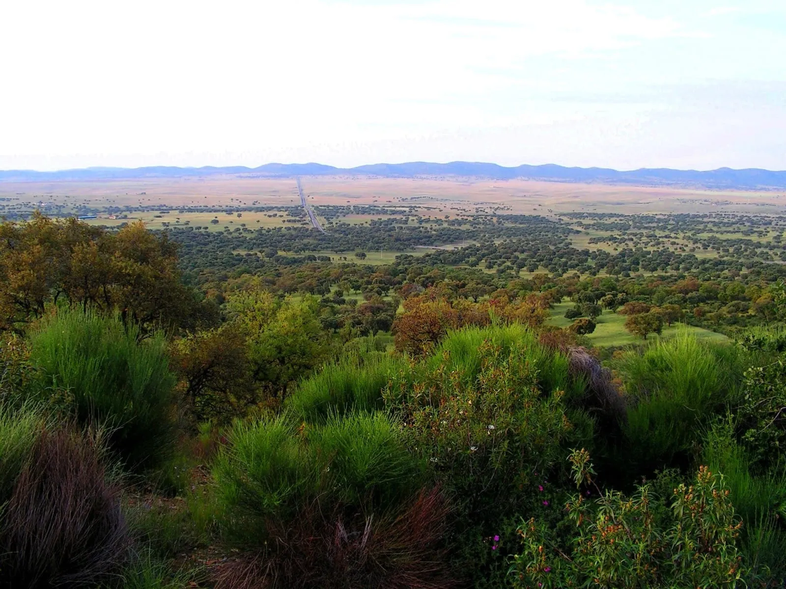 Zenagas Trail