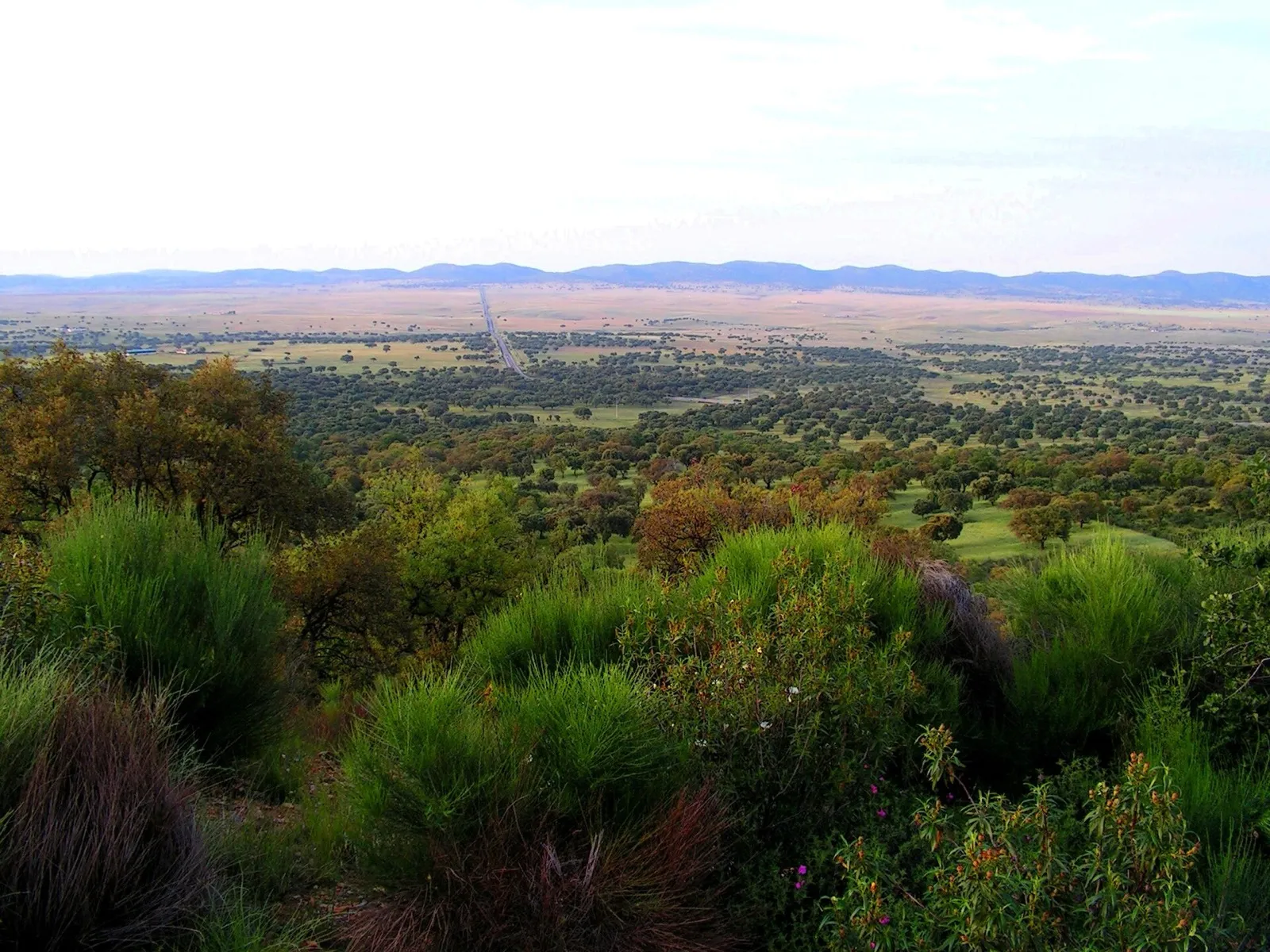 Zenagas Trail