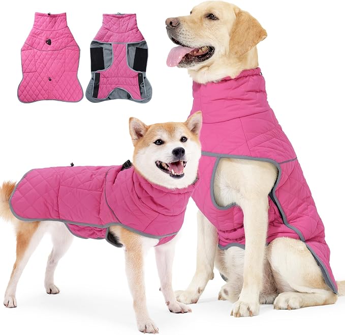 Impermeable reflectante para perro con forro polar