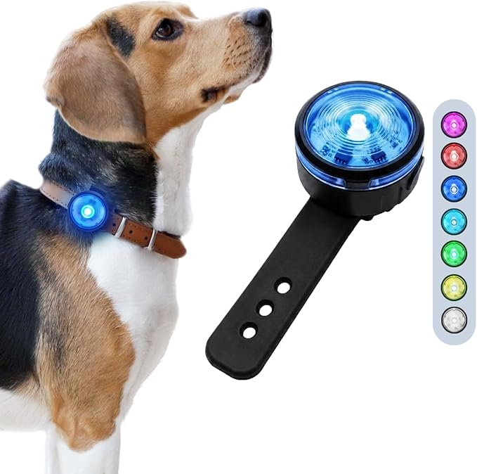 PAJ luz LED para collar y arnés (7 colores)