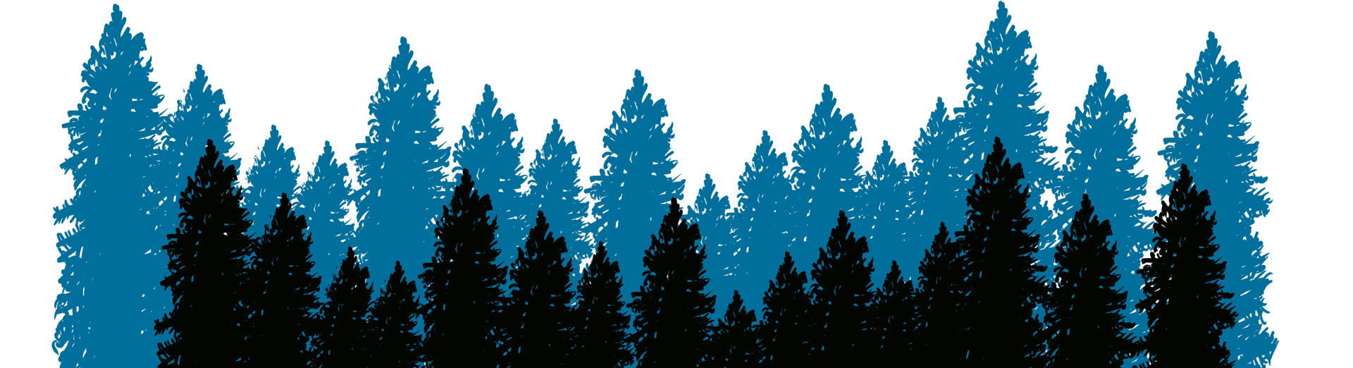 Abeduriu Trail Nocturna