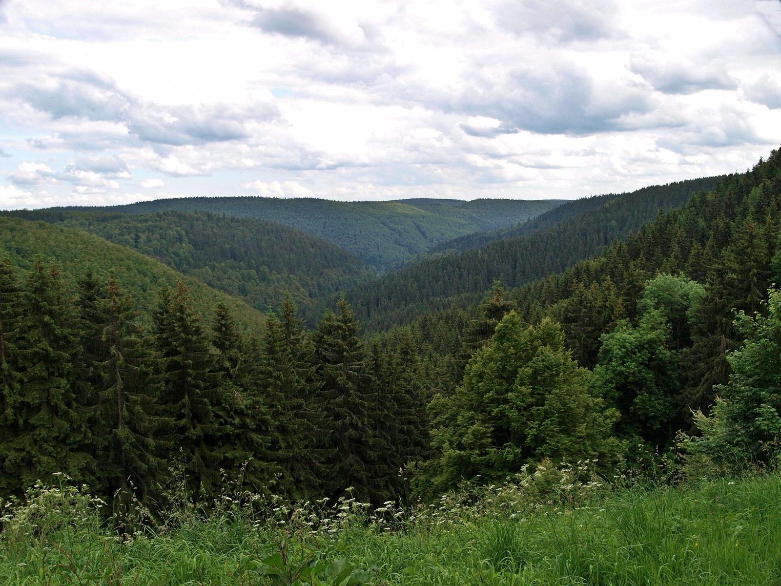 GutsMuths-Rennsteiglauf