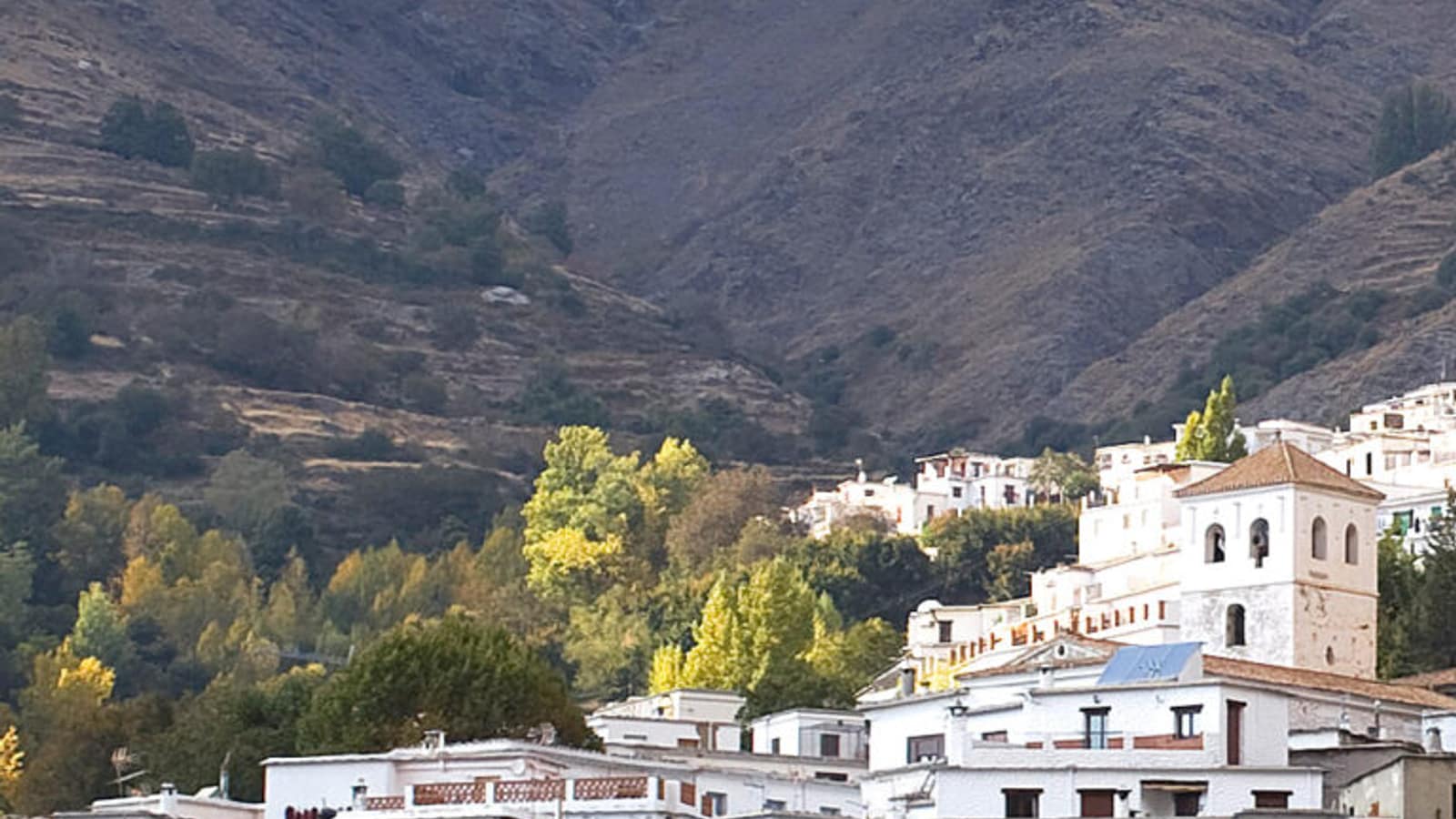 Leguas de la Alpujarra
