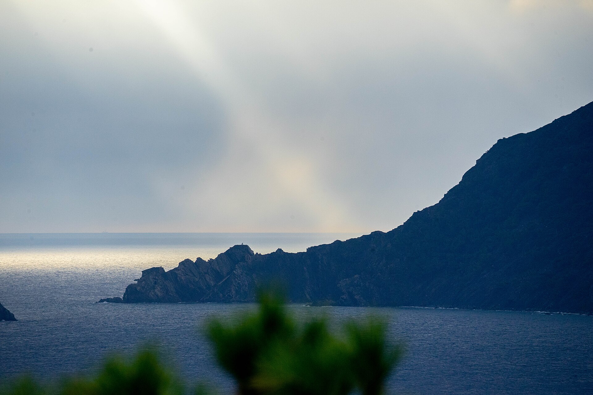Trail du Cap Sicié