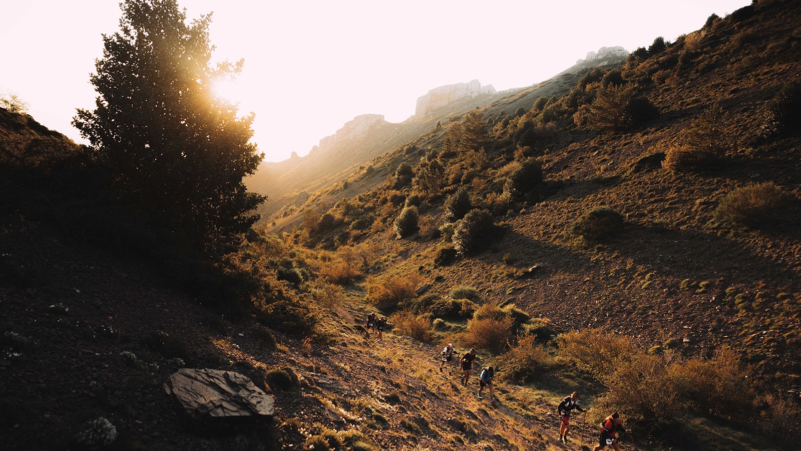 Ultra Trail Moncayo