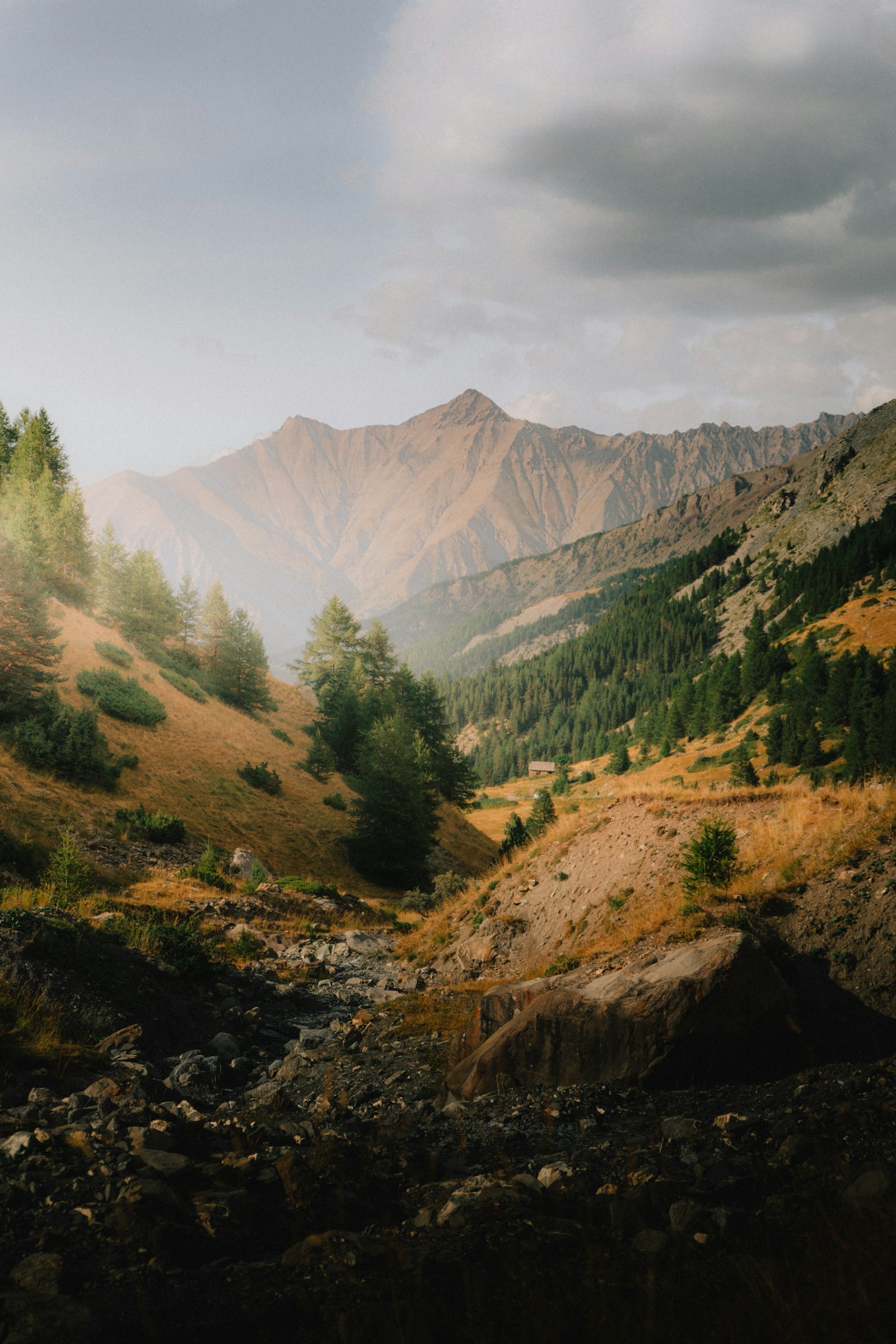 Auvergne-Rhône-Alpes