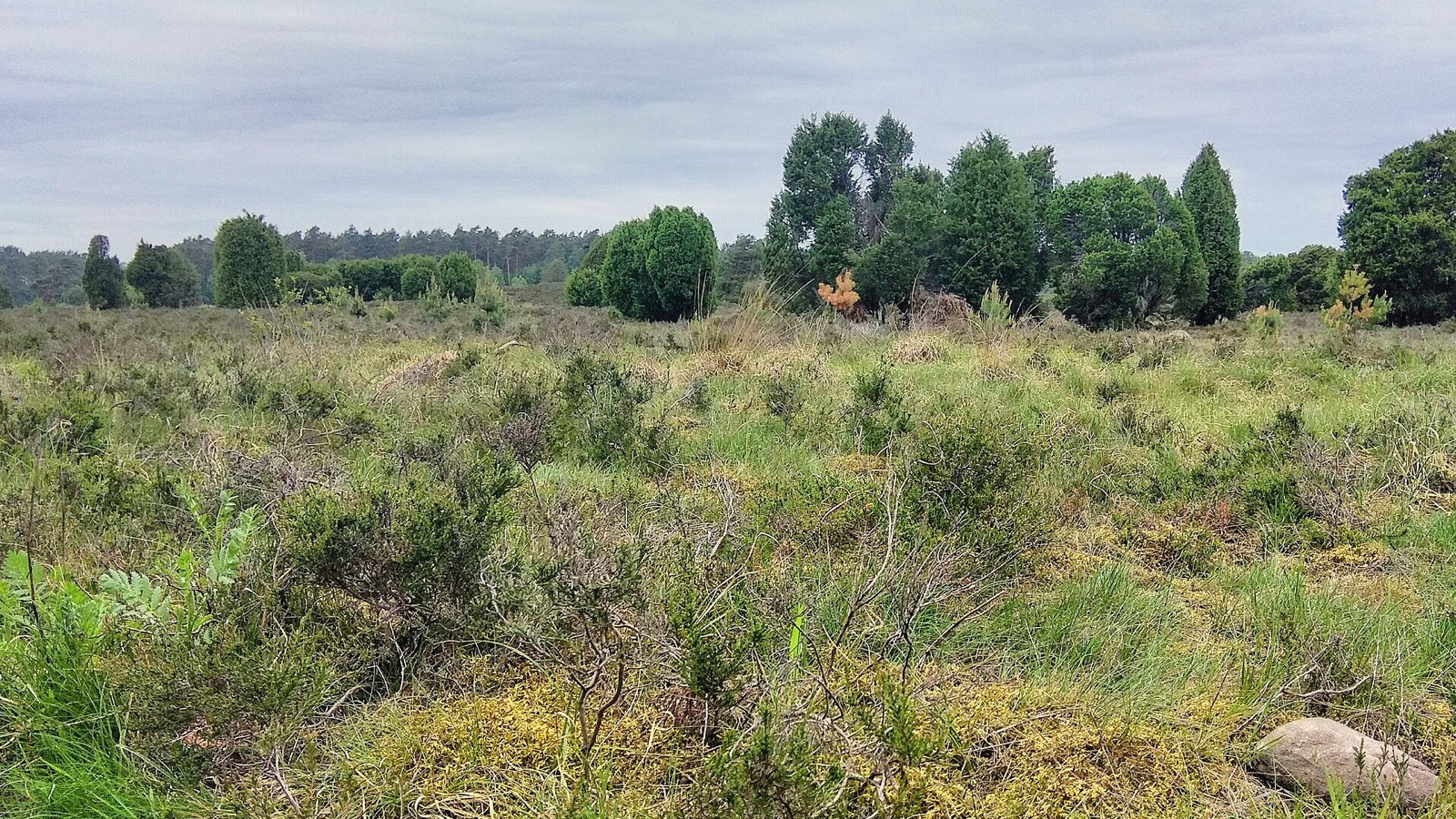 Landschaft von Niedersachsen