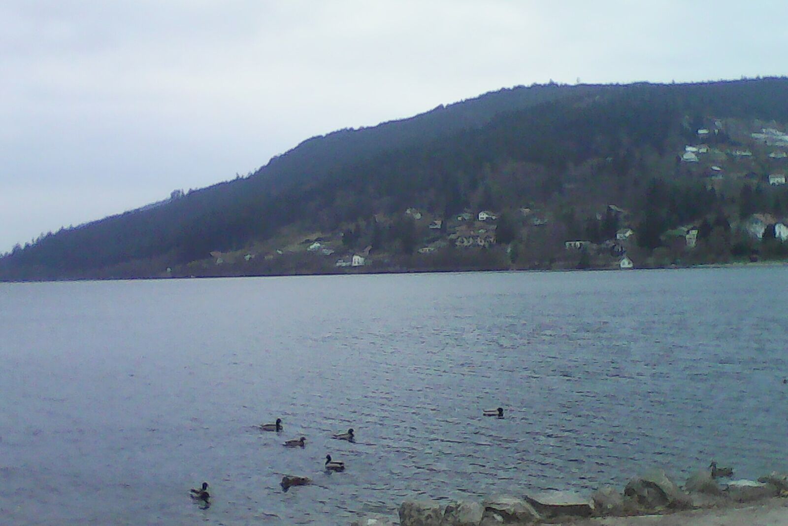 Landschaft von Grand Est