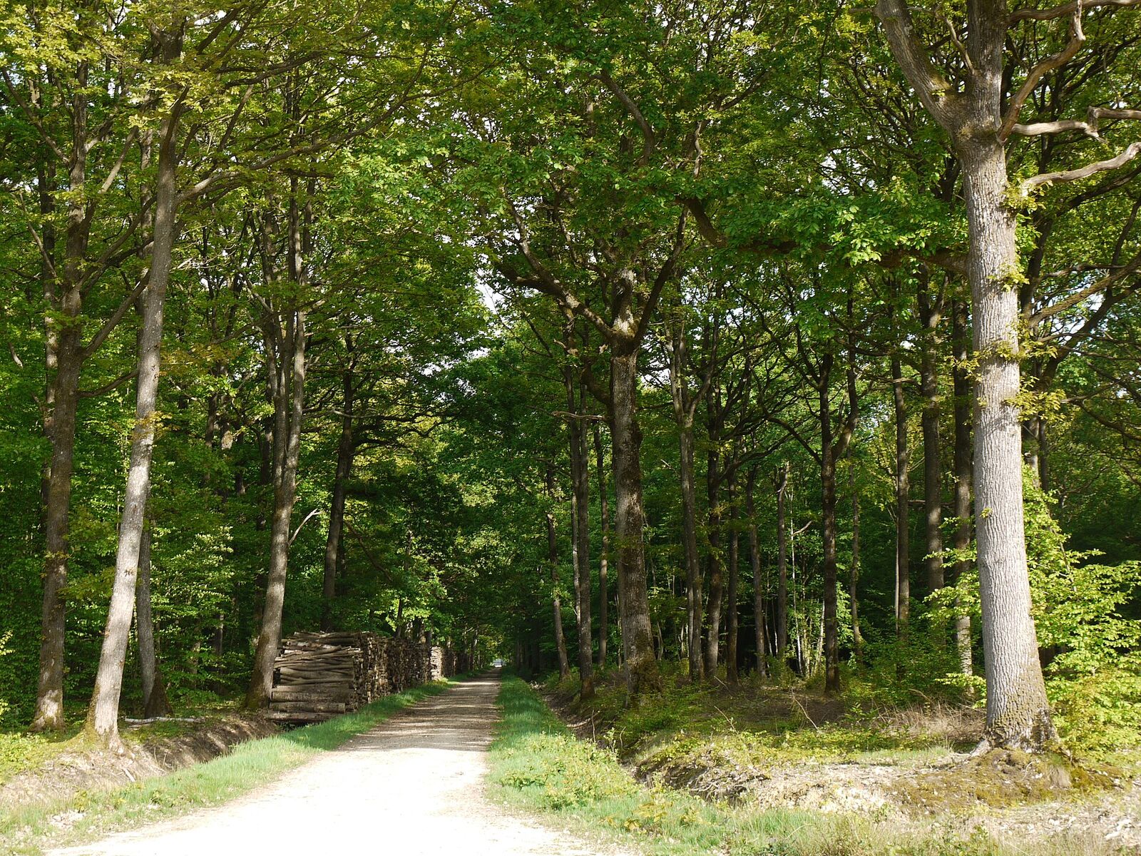 Landschaft von Île-de-France