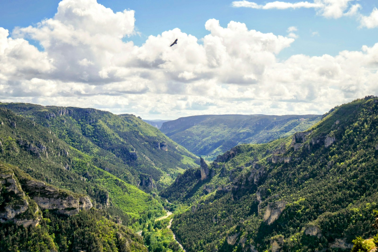 Occitanie