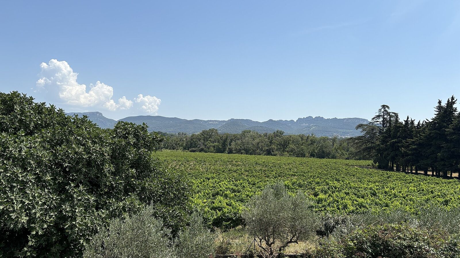 Landschaft von Provence-Alpes-Côte d'Azur